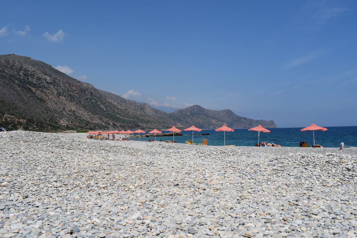 Palaiochora